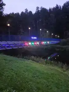 Колос - 40