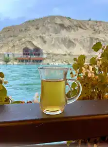 Главрыба - 77