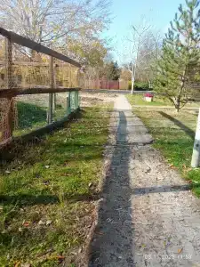 Квант - 11
