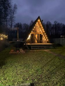 Forest life - 35