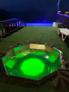 Экзотик Эльвар - 49