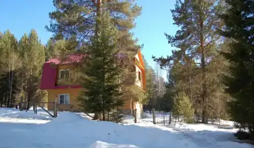Шишкин лес - 14