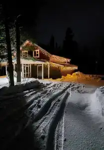 ForRest Сканди - 0