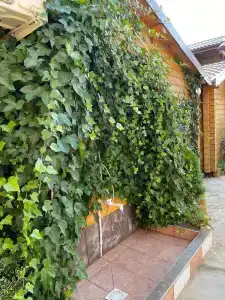 Азов Бриз - 52