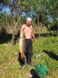 Флотраскат - 31