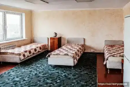 Гусев - 8