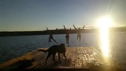 Зайкина дача - 15