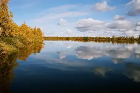Медвежий угол - 31
