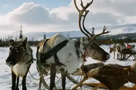 Медвежий угол - 18