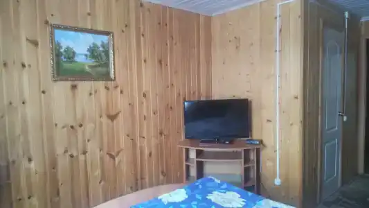 Подсолнух - 16