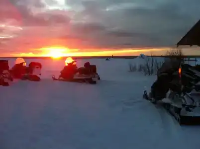 Куя - 41