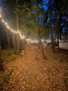 Юрта-парк на острове - 31