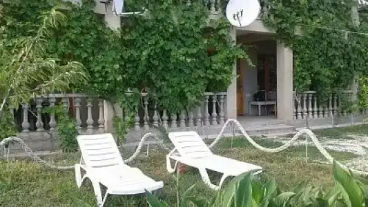 Green House - 1