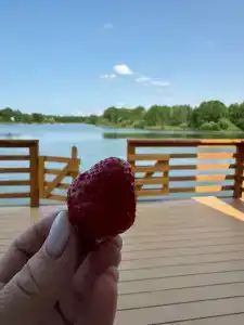 Флотель - 41