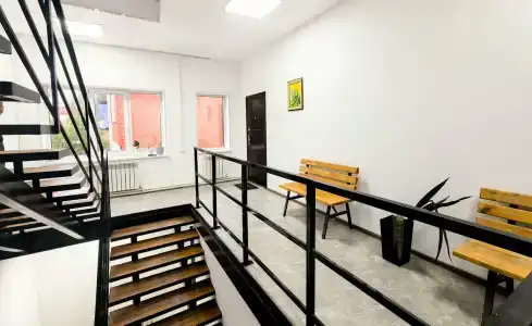 Тундра - 1