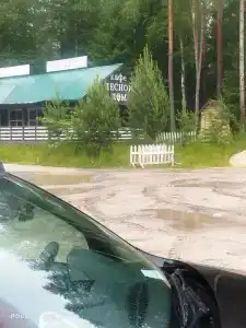 Лесной Дом - 22