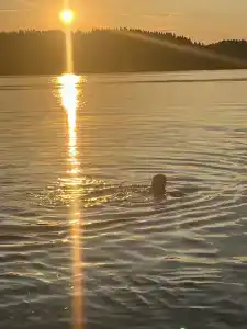 Барсятос - 4