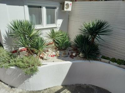 Пекинский дворик - 45