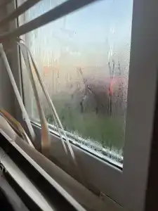 Арарат - 21