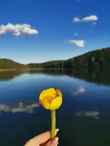 Хутор Ярви - 65