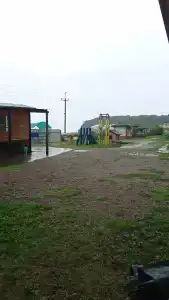 Дельфин - 25