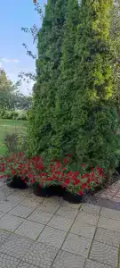 Санта-Мария - 5