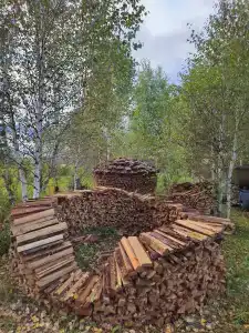 Чайное гнёздышко - 4