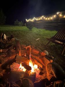 Точка Glamping - 21
