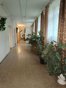 РОСТОДОСААФ - 24