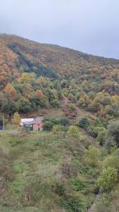 Дом для отдыха от городской суеты - 42