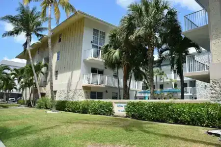 Coral Reef at Key Biscayne - 38