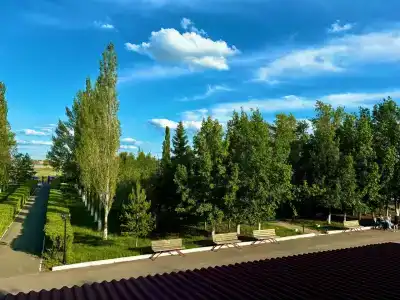 Ленок - 15