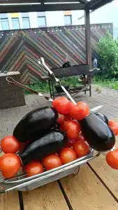 Суздальский хутор - 28