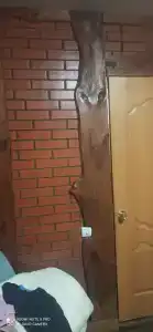 Уютное - 22