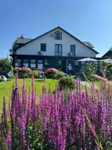 Гостевой дом Суриковых - 68