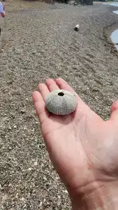 Мыс Красный - 4