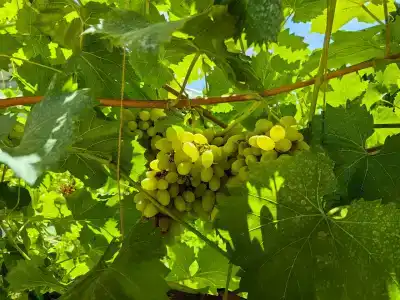 Морское Небо - 74