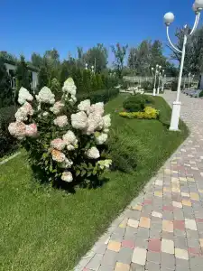 Жемчужина - 29