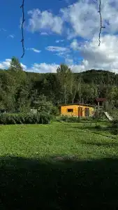 Четыре сезона - 35