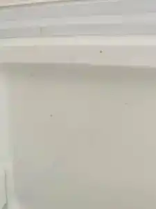 Абрикос Плюс - 40