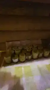 Бряус - 43