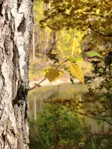 Круиз Вилладж - 89