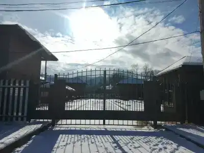 Кипарис - 13
