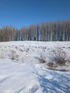 Донгар - 24