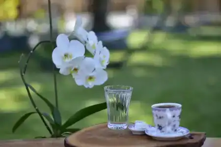 Likya Adrasan Otel - 34