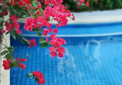 Palm Beach Resort & Spa - 28