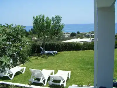 Stegna Dream - 36