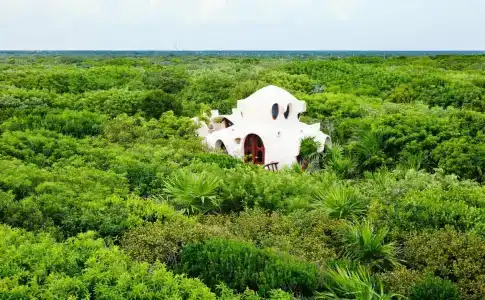 Papaya Playa Project - 1