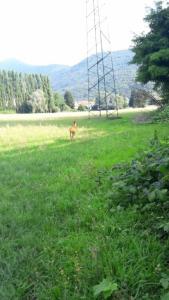 La Sorgente Bed & Breakfast - 29