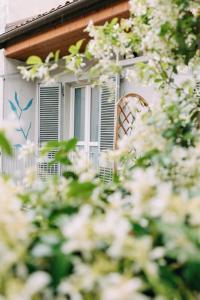 Tomato Backpackers - 9